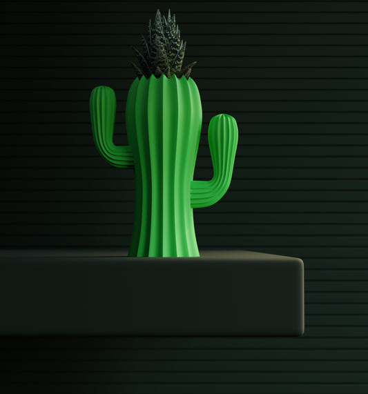 Cactus da Abbracciare